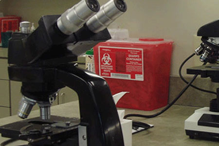 microscope and other lab equipment on counter