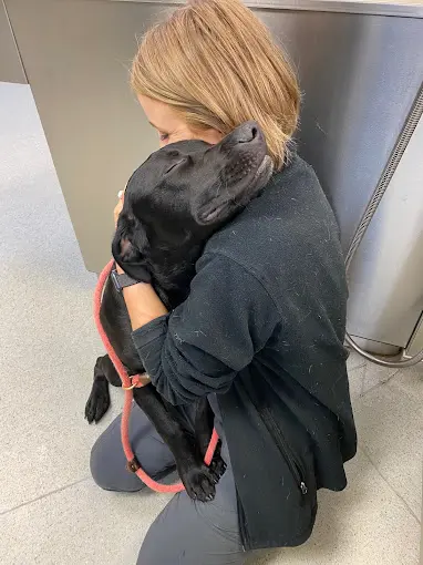 staff hugging dog