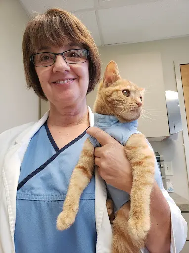 staff holding cat