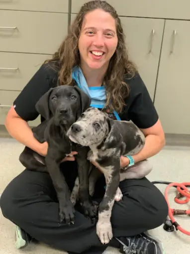 A woman gently holds two playful puppies in her lap