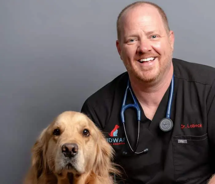 Dr. Charles A. Lobeck