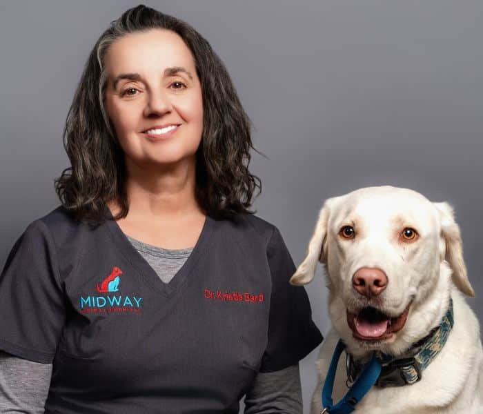Dr. Kristie Bard