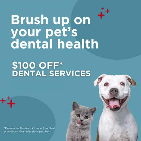 Refer a fur-iend graphic